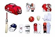 CW Men's Kashmir-Willow Bat with Wheeled Bag and Full Size Cricket Kit with 12 items, Red