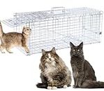32" Live Animal Traps,Humane Animal Trap for Stray Cats up to 16.5 pounds, Raccoons, Squirrel, Skunk, Mole, Groundhog, Armadillo, Rabbit,Steel Foldable with Pedal Triggers