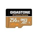 [5 Jahre kostenlose Datenwiederherstellung] Gigastone 4K Kamera Extreme 256GB MicroSDXC Speicherkarte und SD-Adapter, Kompatibel mit GoPro Switch, schwindigkeit 100 MB/s, A2 U3 V30 Micro SD Karte