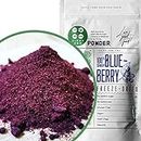 Mirtillo Nero Liofilizzato in Polvere | 100% Vaccinium Myrtillus, Disidratati Secchi Frutta | Freeze Dried Blueberry Powder | Colorante Alimentare