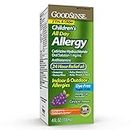 GoodSense Children All Day Allergy, Cetirizine Hydrochloride Oral Solution 1 mg/mL, Grape Flavor, 4 Ounces
