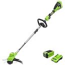 Greenworks 40V 15-Inch Torqdrive String Trimmer, 2Ah USB Battery and Charger Included