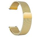 Gold Metal Replacement Strap