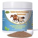 Insulin Resistance Supplement for Horses,Supporting Horses with Elevated Insulin Levels,Laminitis,Cushing's Syndrome,Chronic Sore Feet,Back to Pasture,0.44 lbs
