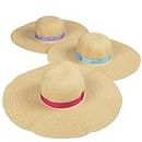 Adult Floppy Sun Hats (Set of 6 Straw Hats) Women's Apparel Accessories Brown
