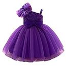 Niren Enterprise Barbet Sequence Embroidered Net Flaired Sleeve Less Baby Girl Frock (Purple Barbet, 1-2Y)
