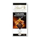 Lindt Excellence Caramel & Sea Salt Touch Dark Chocolate, 3.53 oz ℮ 100 g