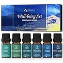 ASAKUKI Essential Oil Blends, Essential Oils Set for Diffusers for Home, Well-Being Gift Kit- Calming, Dreams, Breathe, Relaxing, Mood, Fresh Air Aromatherapy Oils for Humidifiers, Massage, 6x10ml