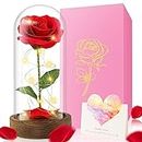 2023 Beauty and The Beast Rose - Enchanted Red Silk Rose in Glass Dome with LED Light - Romantic Rose Kit - for Best Gifts Valentine's Day & Girlfriend & Wedding Anniversary & Birthday