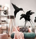 Kolibri Schwarzvogel Tier Foto Tapete Wandbild Wohnzimmer Esszimmer