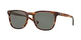 Costa Del Mar Men's Sullivan Square Sunglasses, Matte Tortoise/Grey Polarized-580g, 52 mm