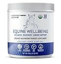 Om Mushroom Matrix - Equine | Wellbeing | USA Grown Human-Grade Organic Mushroom Powder Show Safe Horse Supplement | Wellness, Recovery, & Senior Support | 300 Grams, 10.5 oz