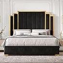 HOWE King Size Bed Frame and 65" Headboard, Upholstered Bed with Golden Plating Trim, Modern Platform Bed No Box Spring Needed, Black