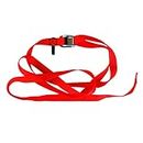 Muskan Enterprises -ME Cam Buckle Tie-Down Straps with Padding for Surfboard Cargo Luggage 3.0m Red