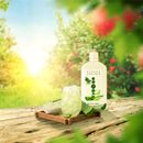 Bevanda gel Aloe Vera 99,5% - Apple & Acai. Uno dei migliori sul mercato. Vivere sano.
