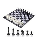 KOKOSUN Magnetic Chess Set with Folding Chess Board Black and White Pieces -12.6'' x 12.6''- Storage Convenient,Educational Toys/Gift for Kids and Adults (M)