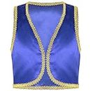 TiaoBug Kids Boys Arabian Prince Cosplay Waistcoat Dress Up Costumes Open Front Vest for Halloween Carnival Party Blue 12 Years