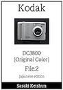 Kodak DC3800 file2 original color sasaki keishun File (Japanese Edition)