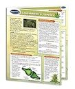 Cannabinoids and Terpenes Quick Reference Guide - Cannabis Educational Series by Permacharts