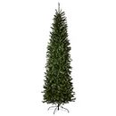National Tree Company Albero di Natale artificiale sottile, verde, abete Kingswood, include supporto, 10 m