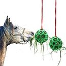 Tirifer 2pcs Horse Treat Ball Hay Feeder Toy Ball Hanging Feeding Toy for Horse Horse Goat Sheep Relieve Stress, Horse Stable Stall Paddock Rest