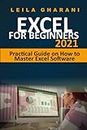 EXCEL FOR BEGINNERS 2021: Practical Guide on How to Master Excel Software