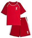 Kids Liverpool FC Short Pyjamas 7-8 Years Red