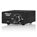 Nobsound Subwoofer Amplifier - 100W Mono Channel Digital Class D Power Amp with Power Supply for Passive Speakers and Subwoofers