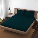 Trance Home Linen 100% Cotton 78x60 inch Queen Elastic Fitted Bedsheet | 400TC Premium Queen Double Bed Size Plain Fitted Elastic Bed Sheet with 2 Pillow Covers (78"x60" | 6.5x5ft, Teal)