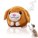 Active Moving Pet Plush Toy Jumping Dog Toy for Dogs Interactive Dog Toys Include Self Moving Balls for Small and Medium Dogs to Chase