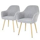 FDW Dining Chairs Accent Arm Chairs Dining Room Chair Kitchen Chair Dining Metal Side Chairs PU Leather Arm Side Chairs Set of 2 for Home Kitchen Bedroom Living Room (Gray, Common Style)