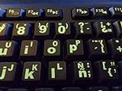 Spanish/English Keyboard Stickers with Fluorescent Inlays. Large Symbols Will Not Wear, Smudge or Fade. for All Laptop and Desktop Keyboards. Free Pocket Magnifier.