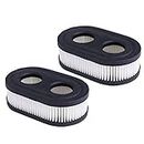 HEYZLASS 2Pack 593260 798452 Air Filter Cartridge, Compatible with Briggs & Stratton 550E thru 725EXI Series Engine, Lawn Mower Air cleaner