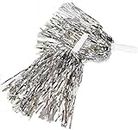 Wanna Party Cheerleader Pom Poms Silver/Cheerleading Squad Spirited Fun Poms Pompoms Cheer Costume Accessory for Party Dance Sports