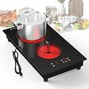 VBGK Electric Cooktop,3000W Built-in & Countertop Plug in 2 Burner Electric Cooktop,110-220V Electric Stove Top with 9 Heating Level, Timer & Kid Safety Lock, LED Touch Control Electric stove