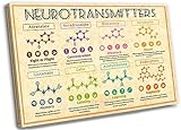 Neurotransmitters Knowledge Poster Framed Biology Chemistry Wall Art Canvas Print Vintage Body Educational Wall Decor for Office Ready to hang (16x24in)