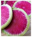 Exotic Radish Watermelon Seeds for Planting - 250+ Seeds - Rare Garden Vegetable