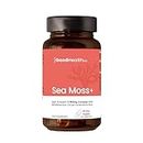 Your Good Health Co - Sea Moss + High Strength 3,180mg Complex | Health, Skin & Beauty with Bladderwrack and Burdock Root | Tablet | 90 Servings | 45 Day Supply