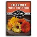 Calendula Pacific Beauty (Mixed) Seed for Planting - 1 Packet with Instructions to Plant and Grow Colorful Pot Marigold in Your Home Flower Garden - Non-GMO Heirloom Variety - Survival Garden Seeds