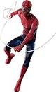 ホットトイズ(Hot Toys) Movie Masterpiece Amazing Spider-Man 2 Amazing Spider-Man 1/6 Scale Figure, Red, Approximately 12" Tall MMS658