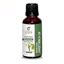 Sweet Birch Oil (Betula Lenta) Essential Oil 100% Pure Natural Undiluted Uncut Therapeutic Grade Oil 0.51 Fl.OZ