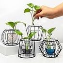 (4 Pack) Plant Propagation Station Terrarium with Iron Metal Stand, Air Planter Bulb Propagation Stations, Small Glass Flower Vases for Decor Centerpieces Hydroponics Home Garden Office Decoration