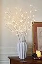 EAMBRITE Home Decorative Twig Lights Lighted White Birch Twig Branches Pathway Stakes with 60 LED White Lights Waterproof Plug in for Outdoor and Indoor Decor (3PK, 76cm)