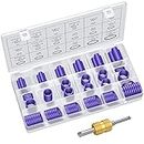 AUTOUTLET 270PCS O Rings Kit 18 Sizes Car Air Conditioning O-Ring Assortment Set with Valve Core Removal Tool for Door, Window, Electric Appliance, Bearing, Pump, Roller Auto, Home Appliances - Purple