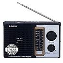 iBELL CTFM100U Portable FM Radio, with USB, SD Card, MP3 Player & Dynamic Speaker 4 Band (Black)