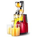 OverTwice Slow Masticating Juicer Cold Press Juice Extractor Apple Orange Citrus Juicer Machine with Wide Chute Quiet Motor for Fruit Vegetables