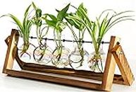 XXXFLOWER Plant Terrarium with Wooden Stand, Wall Hanging Glass Planter Tabletop Propagation Station Metal Swivel Holder Retro Rack for Hydroponics Home Garden Office Decoration - 5 Bulb Vase