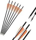 Archery Carbon Crossbow Arrow 16/17/18/20/22 Inch Hunting Arrows Bolt Crossbolt Fletched with Replaceable Arrowhead and Parablic Shape Vanes 12 Pack (Orange, 16 inch)