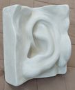Drawing Supplies David's Ear Model Great For Artists Students Teachers Huge Size