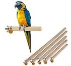 Sage Square Set of 5 Natural Habitat Wooden Perch/Stand/Toy for Birds Budgie/Cockatiel/Parrot/Hamster/Squirrel (Light Weight) (Sizes - 4.5", 6.5", 8.5", 10.5",12.5")
